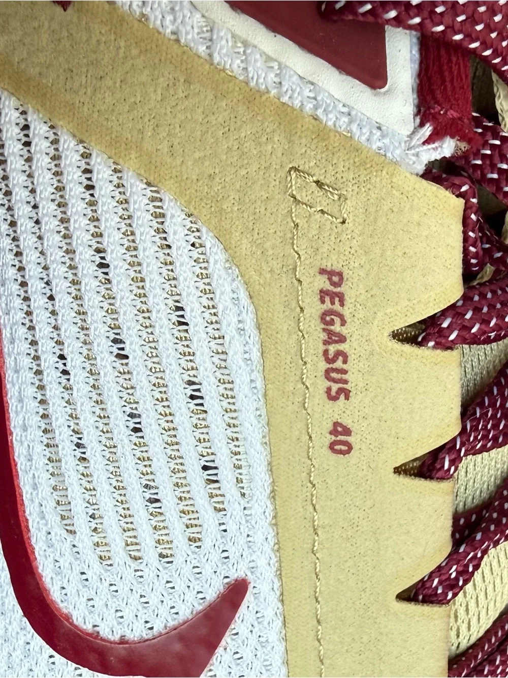 Florida State Men’s Nike Pegasus Running Shoe | Size 10